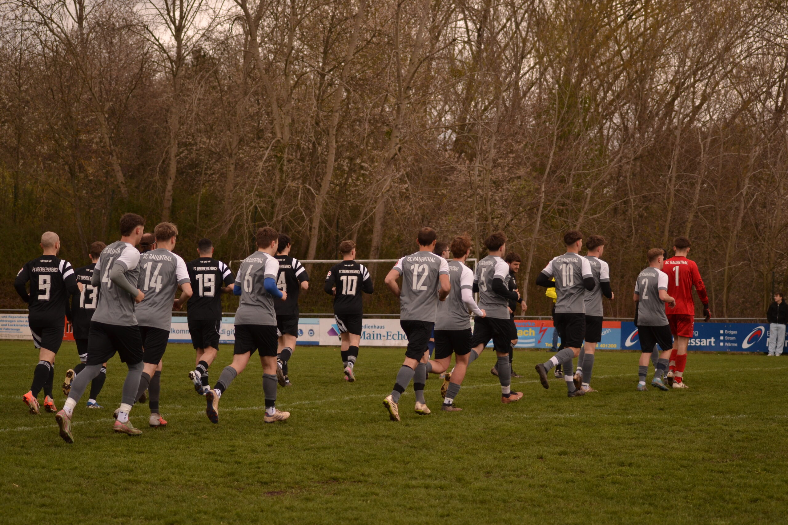 Einlauf Heimspiel